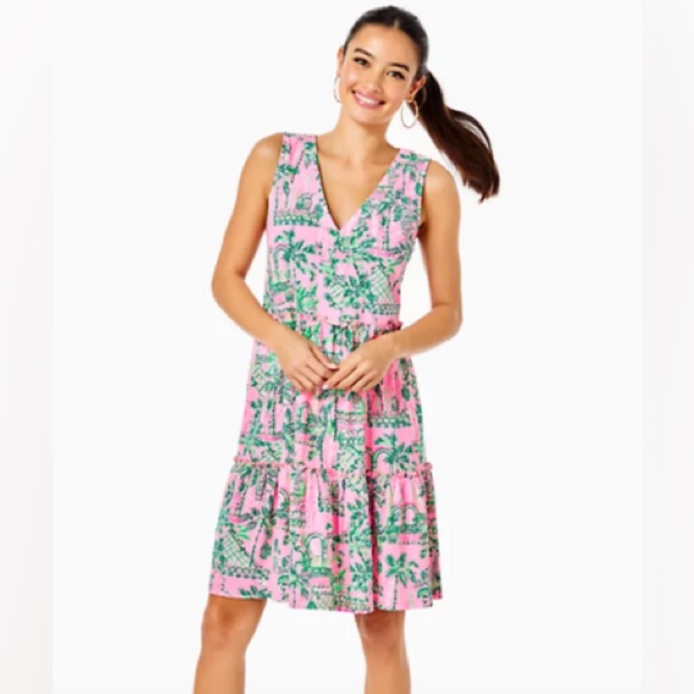 NWT lilly pulitzer mandevilla baby always worth it lorina dress Size XL